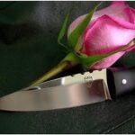 Романтик с «большой дороги»: тверичанин напал с ножом на цветочный магазин ради одной розы Романтик с «большой дороги»: тверичанин напал с ножом на цветочный магазин ради одной розы