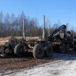 В Западнодвинском районе местный «коммерс» с подельником наворовали леса на 22 миллиона рублей В Западнодвинском районе местный «коммерс» с подельником наворовали леса на 22 миллиона рублей