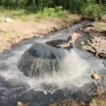 Аварийный коллектор угрожает Твери экологической катастрофой?