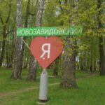 Афера на 223 миллиона в Тверской области: как украсть у больных