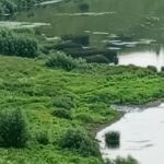 В Ржеве ГУП «ДЕЗ» не справляется со своими обязанностями, в Волгу льются нечистоты В Ржеве ГУП «ДЕЗ» не справляется со своими обязанностями, в Волгу льются нечистоты