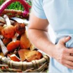 Как не отравиться грибами и что делать, если это произошло Как не отравиться грибами и что делать, если это произошло