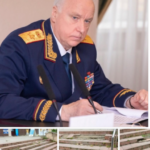 В Удомле женщина разбила голову на лестнице перед торговым центром: Следственный комитет возбудил уголовное дело