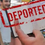 В 2025 году тверские правоохранители выдворили за пределы РФ 544 мигранта