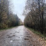 В Бологовском округе из-за разбитой дороги посёлок остаётся без хлеба