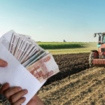 Бойцы СВО из Тверской области могут получить 3 миллиона рублей на развитие фермерского хозяйства Бойцы СВО из Тверской области могут получить 3 миллиона рублей на развитие фермерского хозяйства