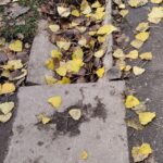 Ржевитянин получил травму на тротуаре из-за провалившихся плит