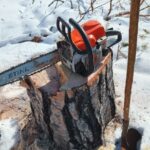 В Осташковском округе задержали «чёрных лесорубов», нанёсших миллионный ущерб государству