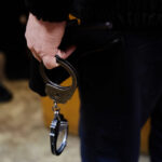 В Осташковском округе задержали «чёрных лесорубов», нанёсших миллионный ущерб государству