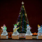 В Твери установили более двадцати новогодних елей