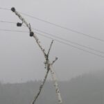 Энергетический парадокс России: тяжелое настоящее, туманное будущее…