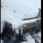 В Бологое из-за прорыва водопровода затопило улицы Пушкина и Маяковского