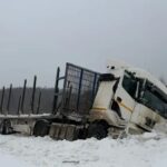 Жители Бологовского округа требуют восстановить дороги после вывоза леса