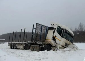 Вывоз леса Бологовский округ