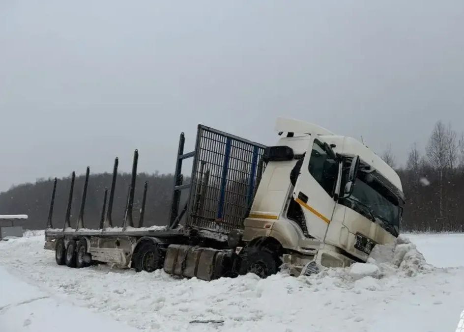 Вывоз леса Бологовский округ