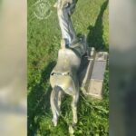 Детский сад заплатит за травму ребенка