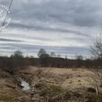 Загрязняют реки. В посёлке Васильевский Мох под Тверью канализация течёт в Тверцу