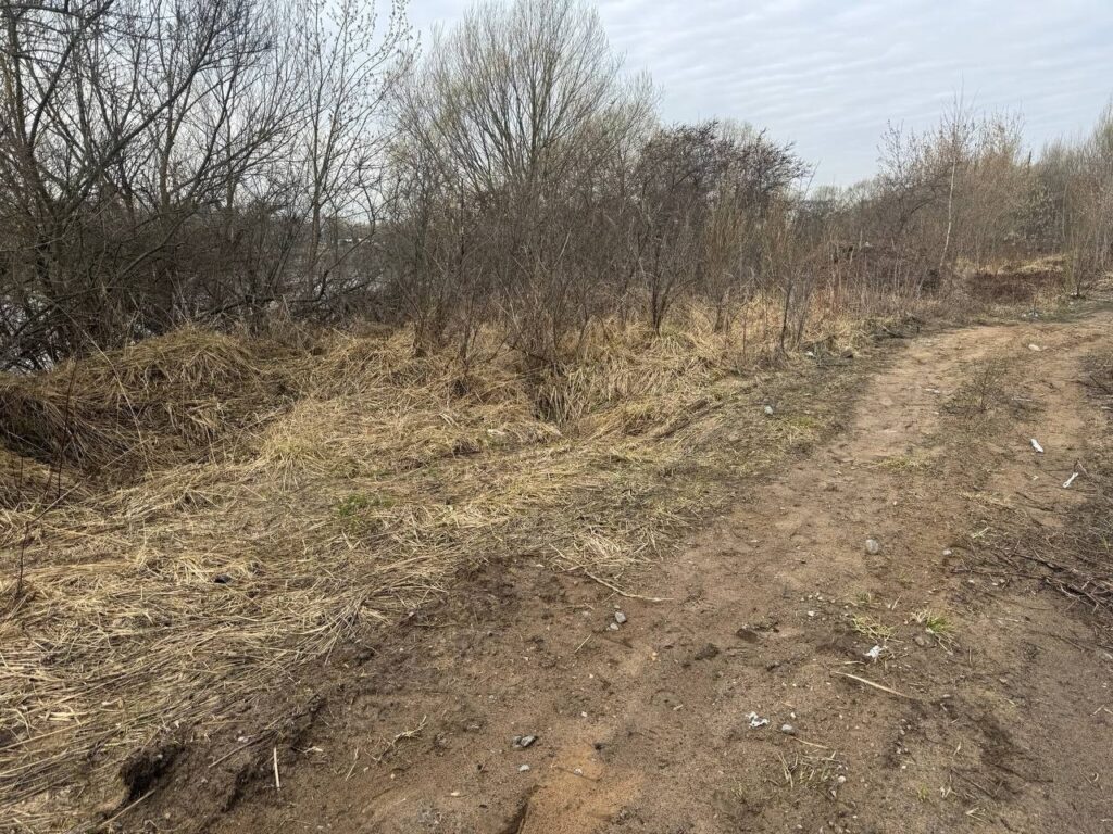 Свалка на берегу Волги