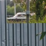Приватизировать Волгу