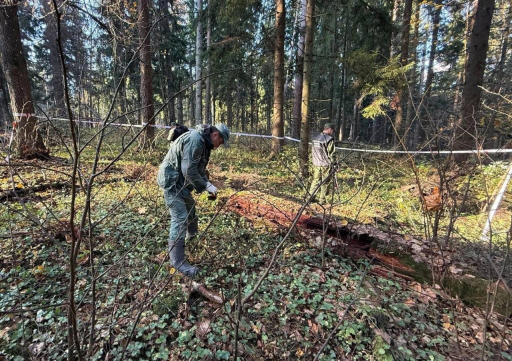 Под Тверью обнаружено массовое захоронение убитых фашистами пациентов больницы