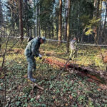 Под Тверью обнаружено массовое захоронение убитых фашистами пациентов больницы