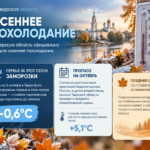 Первые заморозки в Твери: когда Верхневолжье окажется во власти настоящих зимних морозов